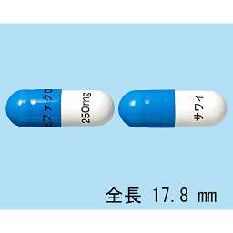 41Wp7EPgE6L.jpg
