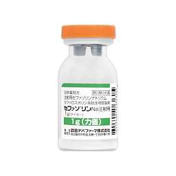 セファゾリンｎａ注射用１ｇ タイヨー の添付文書 医薬情報qlifepro