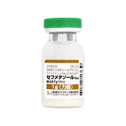 セフメタゾールｎａ静注用１ｇ テバ の添付文書 医薬情報qlifepro