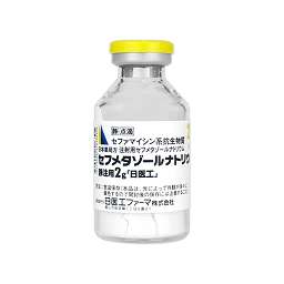 セフメタゾールナトリウム静注用２ｇ 日医工 の添付文書 医薬情報qlifepro