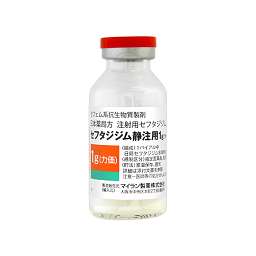セフタジジム静注用１ｇ マイラン の添付文書 医薬情報qlifepro