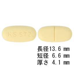 レボフロキサシン錠250mg「クニヒロ」の添付文書 - 医薬情報QLifePro