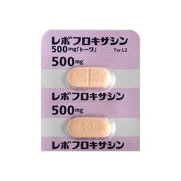 レボフロキサシン錠５００ｍｇ トーワ の添付文書 医薬情報qlifepro