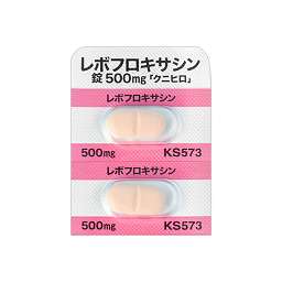 レボフロキサシン錠500mg「クニヒロ」の添付文書 - 医薬情報QLifePro