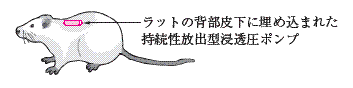 ノイロトロピン注射液３ ６単位の添付文書 医薬情報qlifepro