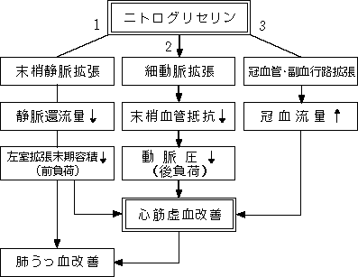 ニトロペン舌下錠0.3mgの添付文書 - 医薬情報QLifePro