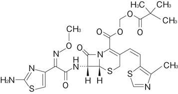 メイアクトms錠100mgの添付文書 医薬情報qlifepro