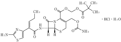 セフカペンピボキシル塩酸塩錠１００ｍｇ サワイ の添付文書 医薬情報qlifepro