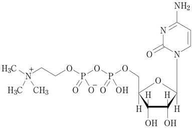 ニコリン様♡ 専用商品です！ ニコリン様♡ 専用商品です！ ニコリン注射液250mgの添付文書