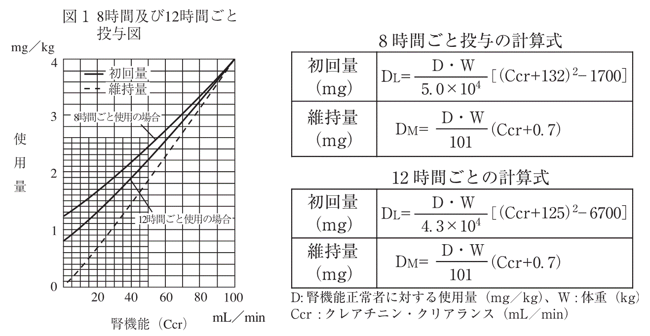 硫酸アミカシンヒポレイバーのリーフレット
